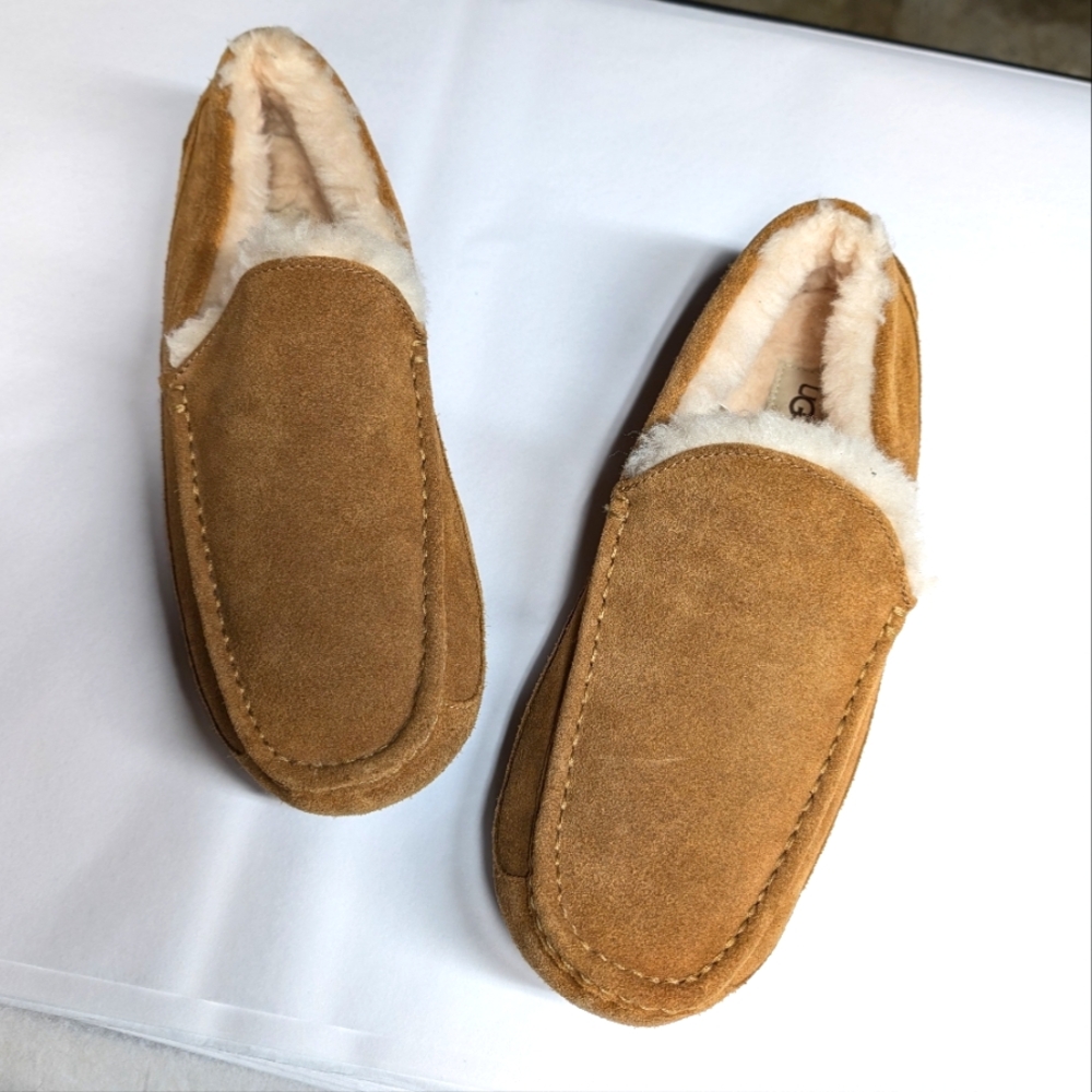 UGG Men's Ascot Slipper in Chestnut, Size 13